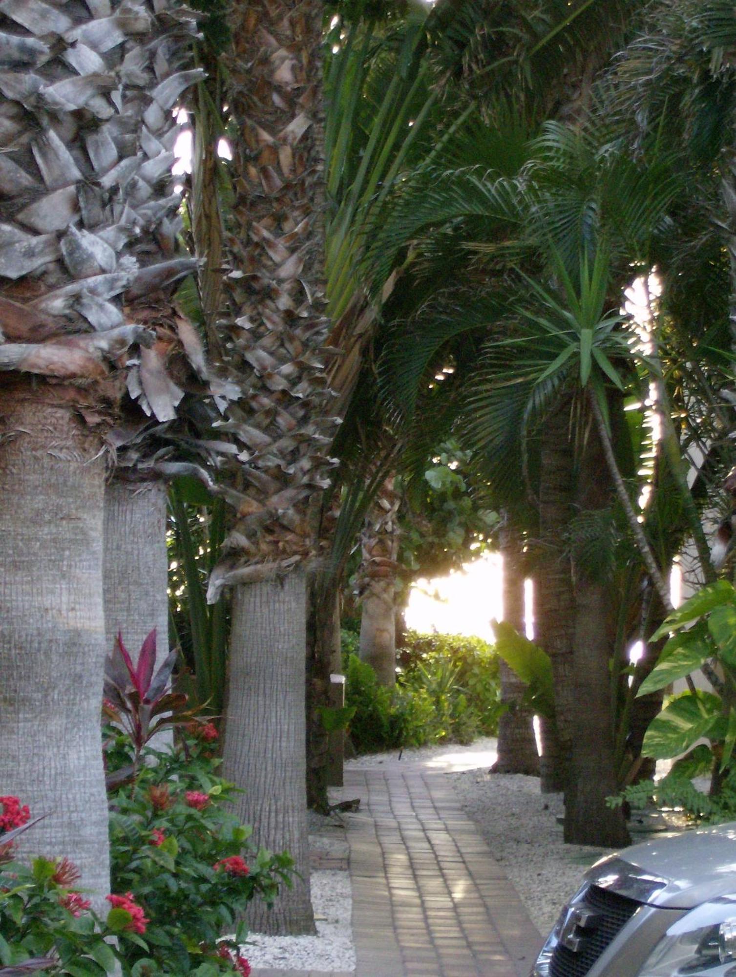 Turtle Crawl Inn - Лонгбоут-Ки Экстерьер фото
